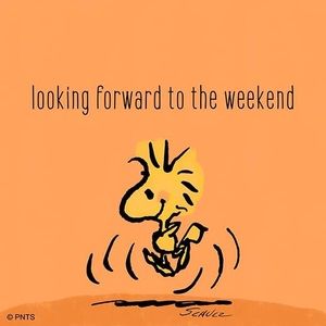 Meet your Posher, Sabrina